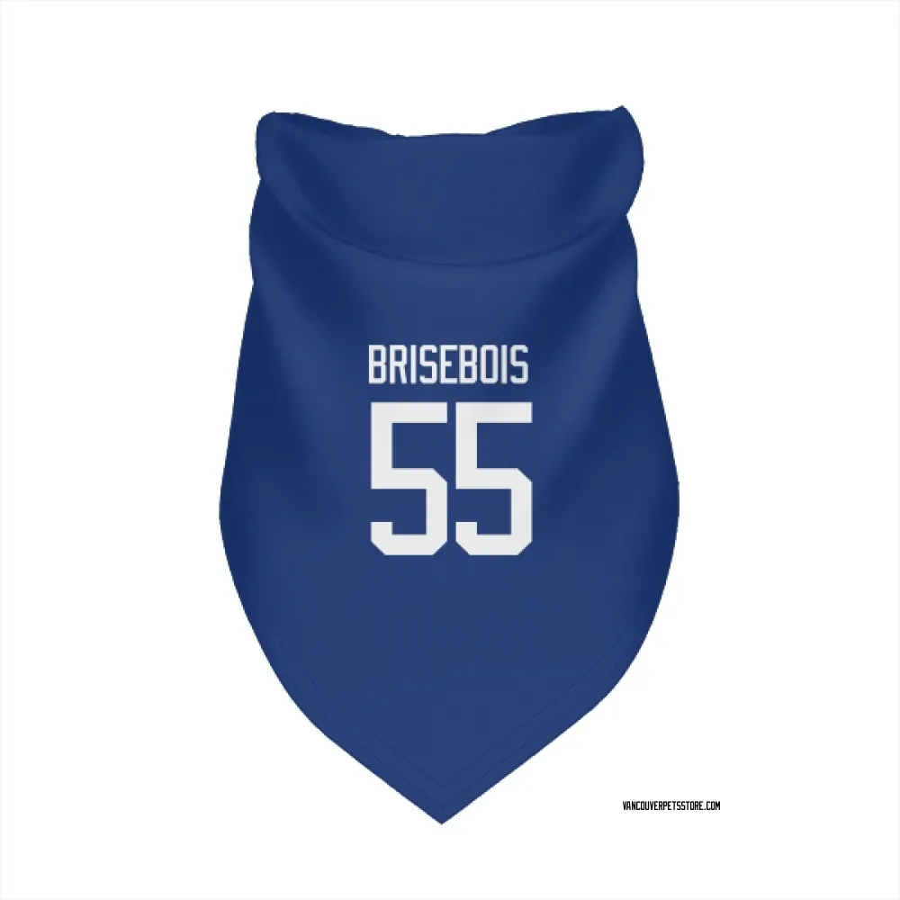 Vancouver Canucks Guillaume Brisebois Blue Pet Bandana for Dog & Cat
