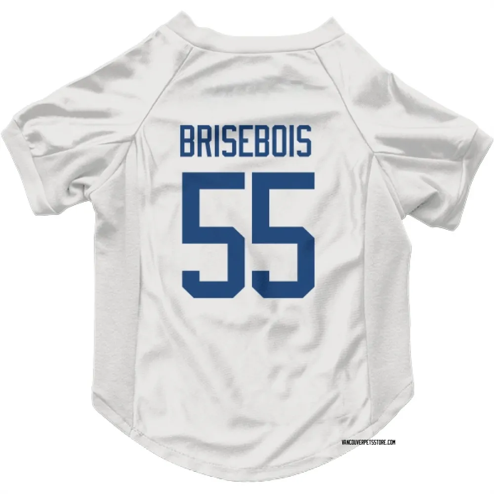 Vancouver Canucks Guillaume Brisebois White Pet Jersey for Dog & Cat