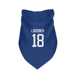 Vancouver Canucks Igor Larionov Blue Pet Bandana for Dog & Cat