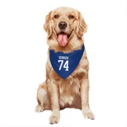 Vancouver Canucks Jake DeBrusk Blue Pet Bandana for Dog & Cat