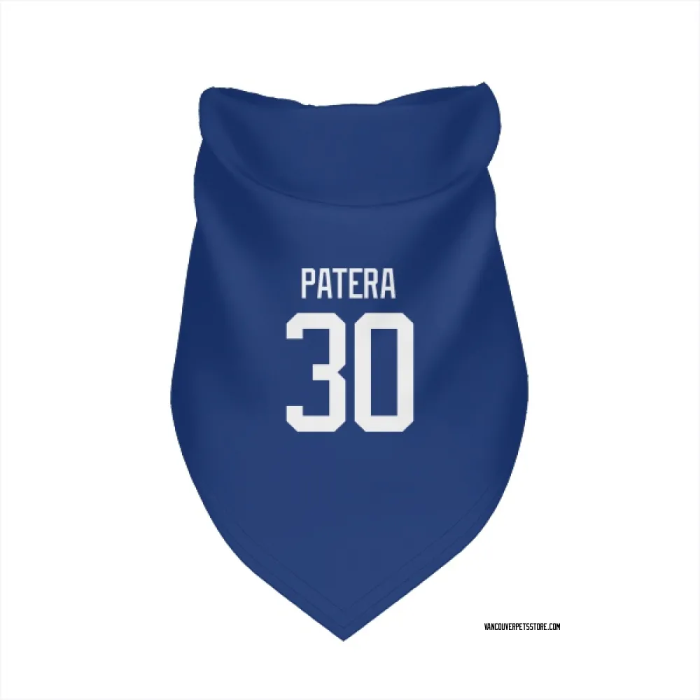 Vancouver Canucks Jiri Patera Blue Pet Bandana for Dog & Cat