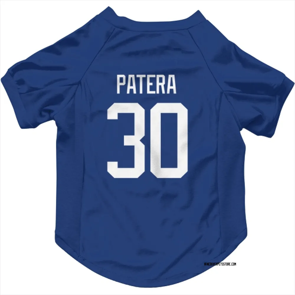 Vancouver Canucks Jiri Patera Blue Pet Jersey for Dog & Cat