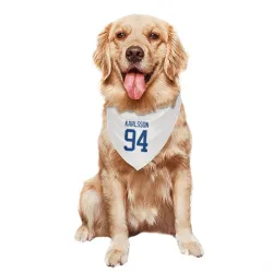 Vancouver Canucks Linus Karlsson White Pet Bandana for Dog & Cat