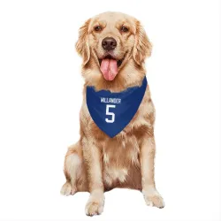 Vancouver Canucks Tom Willander Blue Pet Bandana for Dog & Cat