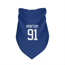Vancouver Canucks Vitali Kravtsov Blue Pet Bandana for Dog & Cat