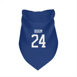 Vancouver Canucks Zeev Buium Blue Pet Bandana for Dog & Cat